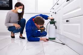 Best Residential Pest Control  in Eglin Af, FL